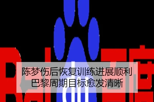陈梦伤后恢复训练进展顺利 巴黎周期目标愈发清晰