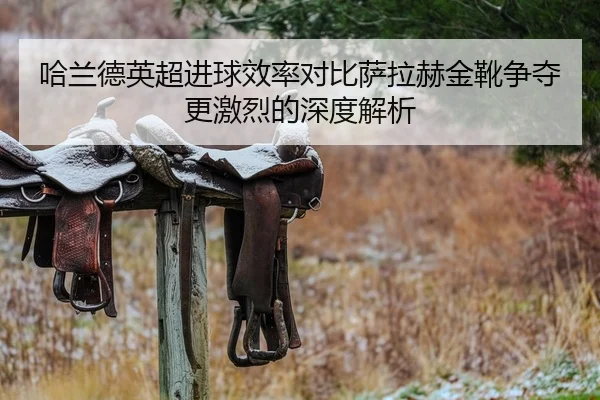 哈兰德英超进球效率对比萨拉赫金靴争夺更激烈的深度解析