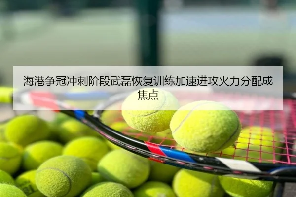 海港争冠冲刺阶段武磊恢复训练加速进攻火力分配成焦点